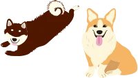 わんちゃん