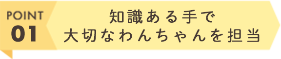 知識ある手で大切なわんちゃんを担当