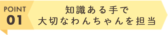 知識ある手で大切なわんちゃんを担当